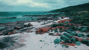 Beach Running GIF by nettwerkmusic