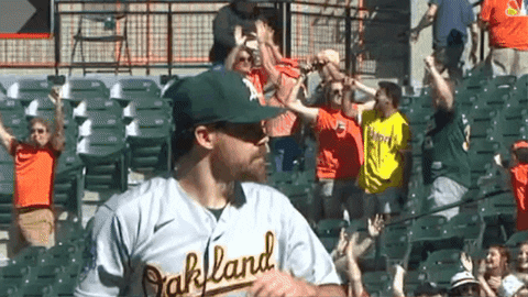 davyandrews giphygifmaker GIF