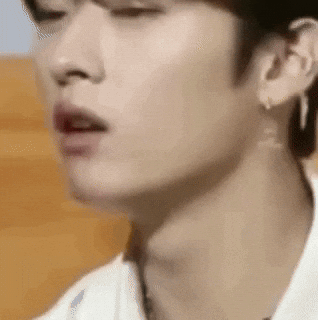 Stray Kids Omg GIF by lgcapucci