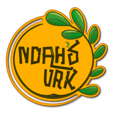 noahsvrkofficial giphyupload noahs vrk Sticker