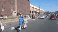 People Seen Carrying Large Boxes as Looting Continues in Durban
