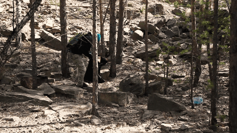 RussiaBeyond giphyupload GIF