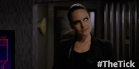season 1 episode 10 GIF by The Tick