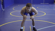 unifight uniwr GIF by UNI Athletics