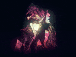 raffaelmiribung art glitch gay color GIF