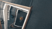collegeoflakecounty school college education student GIF