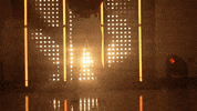 Florida State Softball GIF by NCAA Championships