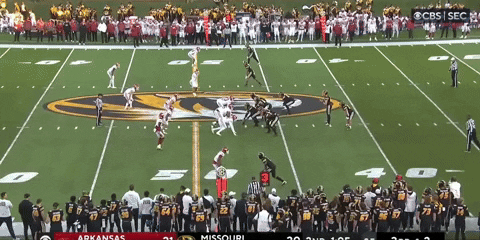 bson1011 giphyupload GIF