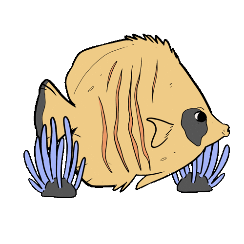 Animation Fish Sticker