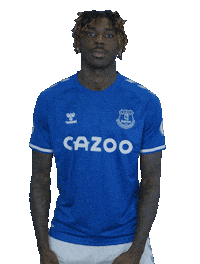 Celebrate Premier League GIF by Everton Football Club