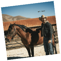 Countrysong Sticker by Riley Green
