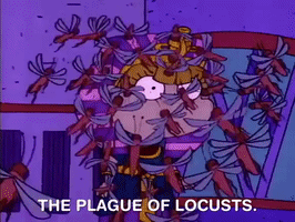 nicksplat rugrats GIF