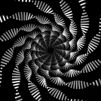 Black And White Art GIF by xponentialdesign