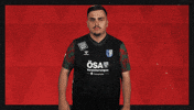 Fc Magdeburg Football GIF by Bundesliga
