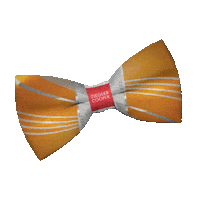 architecture bowtie Sticker by Ziegler Cooper
