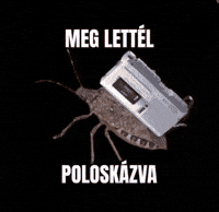 Poloska GIF by Keddi Kosár