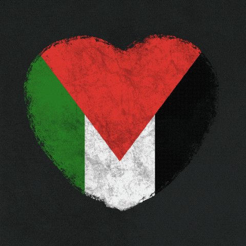 Palestine Gaza GIF by yux