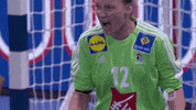 france rage GIF by EHF