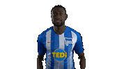 Hertha Berlin Sport Sticker by Hertha BSC