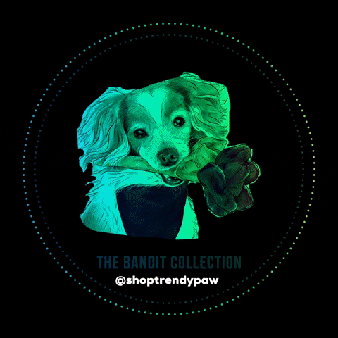 shoptrendypaw dog pomeranian bandit petportrait GIF
