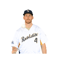 Baseball Mlb Sticker by York Revolution