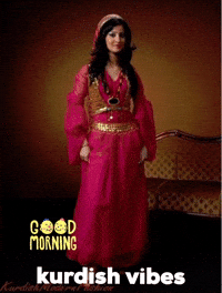 Kurdistan Kurd GIF