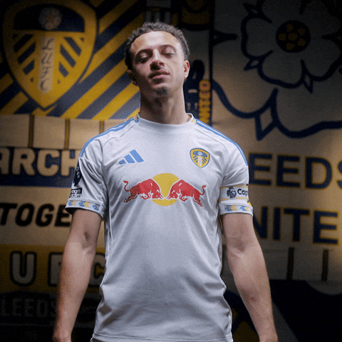 Premier League Lufc GIF by Leeds United