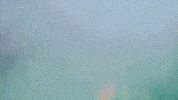 Track Bison GIF by NDSU Athletics