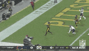 Pittsburgh Steelers Football GIF by NFL