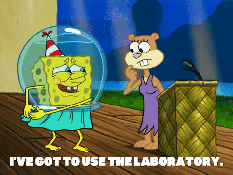 season 6 gullible pants GIF by SpongeBob SquarePants