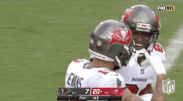 Tampa Bay Buccaneers Football GIF by NFL