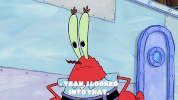 season 9 GIF by SpongeBob SquarePants