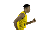 Ewe Baskets Basketball Sticker by EWE Baskets Oldenburg