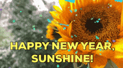 New Year Sunshine GIF by Wanda Petunia Love