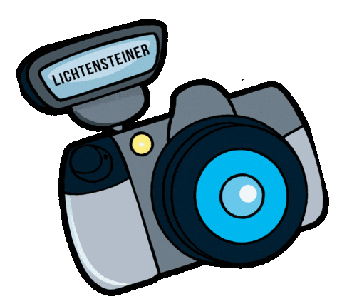 Photography Camera Sticker by Lichtensteiner