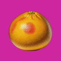 Energy Comida GIF