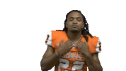 Cnfb Sticker by Carson-Newman Athletics