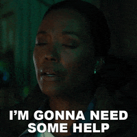 Bau Help GIF by Paramount+