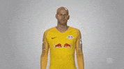 rb leipzig GIF by Bundesliga