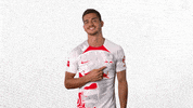 Football Soccer GIF by RB Leipzig