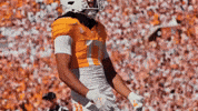 Football College GIF by Tennessee Athletics