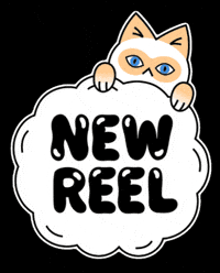 dalkhafine cat reel new reel mochi GIF
