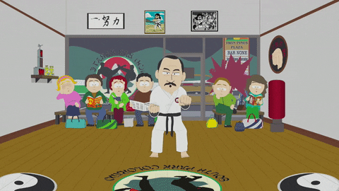 martial arts karate GIF by South Park 