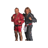 Friends Fighton Sticker by jcvillavital