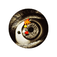 Visual Art Logo Sticker