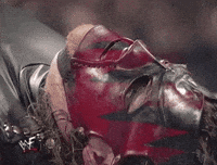 wrestlemania xiv wrestling GIF by WWE