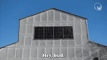 Hello Mate?