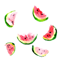 Watermelon Лето Sticker