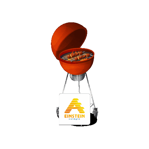 Soueinstein Sticker by Colégio A. Einstein