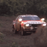 Sliding Safari Rally GIF by FIA World Rally Championship